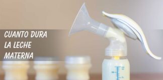 Cuánto dura la leche materna Cuanto dura la leche materna?
