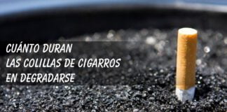 Cuánto tardan las colillas en degradarse Cuanto demora en degradarse una colilla de cigarrillo