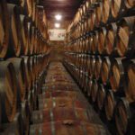 Cuánto dura la fermentación del vino