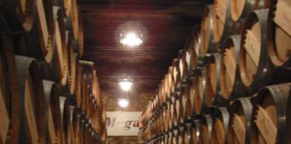 Cuánto dura la fermentación del vino