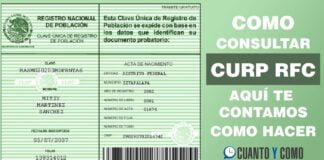 Como sacar el curp / rfc en México Consultar CURP RFC online