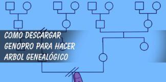 Como descargar GenoPro para hacer un árbol genealógico descargar genopro